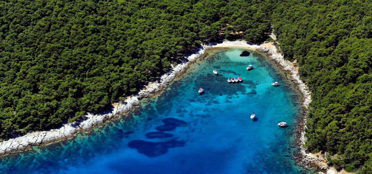 Bungalow Vice With Pool Pakoštane Dış mekan fotoğraf